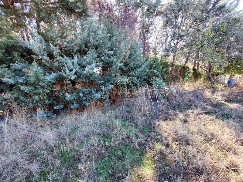 Foto 00d0ee71-a8af-460f-984b-bd6bcf1a1dd0. House in Lozoyuela - Navas - Sieteiglesias