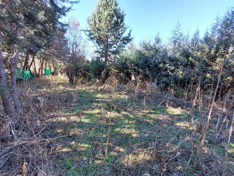 Foto de03c6ab-465e-4495-aa69-3934579d2f7d. House in Lozoyuela - Navas - Sieteiglesias