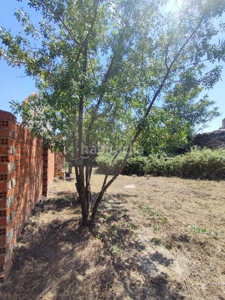 Foto dec5fb74-e4e2-4687-9c8d-9476651e8823. Terreno residenziale in calle dr jimenez diaz 4 in Molar (El)