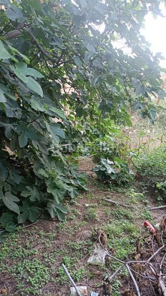 Foto e2cd66fd-b948-47ff-bf86-dd963498bc36. Terreno residenziale in calle dr jimenez diaz 4 in Molar (El)