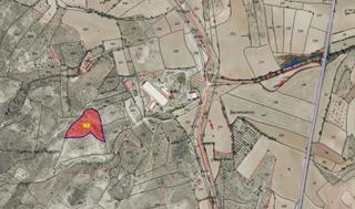 Finca rústica  Polígono parcela 314 315. Venta de finca rústica en torrelaguna