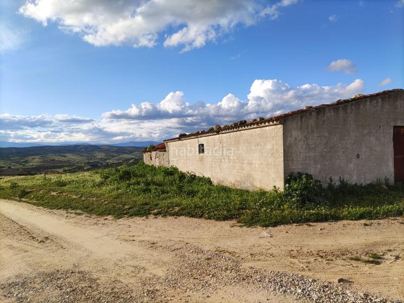 Foto ab8d6e68-ebc0-4a3f-9bc8-3a845601ed38. Local commercial dans cerro 1 dans Molar (El)