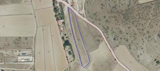 Rural plot  Polígono polígono 7 parcela 424. Finca rústica en venta el molar