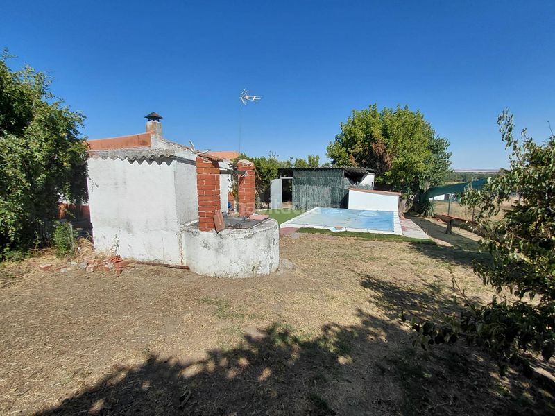 Foto 7145ad1d-6964-493f-b591-961471fddf61. Casa amb calefacció aparcament piscina a Molar (El)