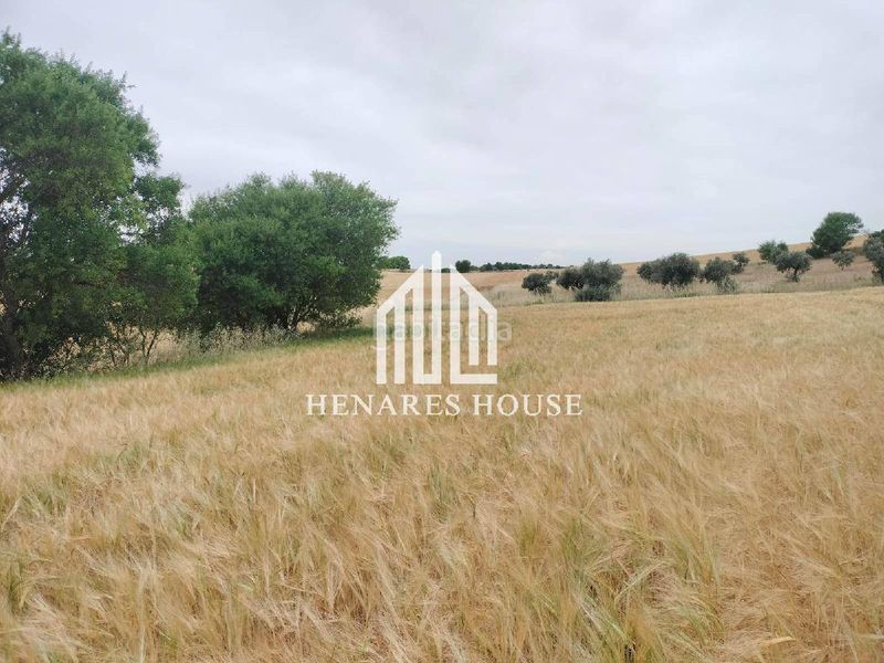 Foto c425ec33-cd52-4314-abb6-d350526e6c5e. Terreny residencial a Mondéjar