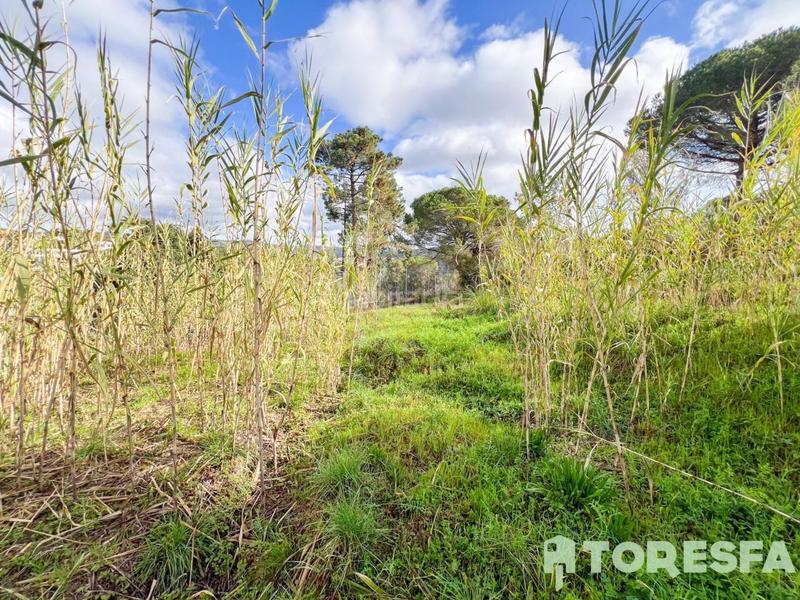 Foto 0259ea5d-7ce7-4f0c-901e-fa5b43aa85ea. Terrain résidentiel dans Condado del Jaruco - Puigventós Lloret de Mar