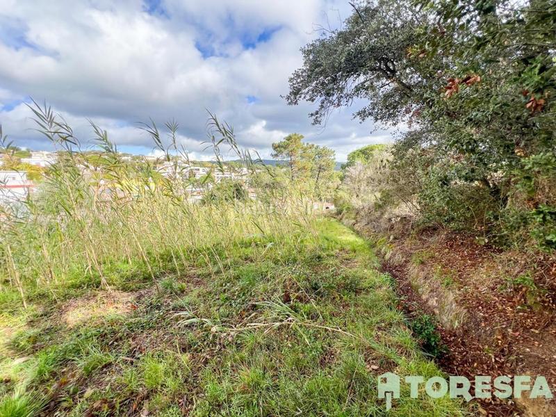 Foto db046bed-44be-4fb0-a016-cc1a7855ae03. Terrain résidentiel dans Condado del Jaruco - Puigventós Lloret de Mar