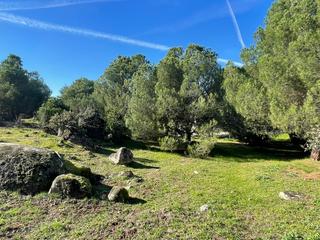 Terreno residencial en Avenida sajonia 4