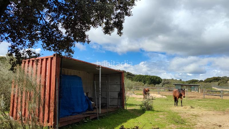 Foto d56e42d1-2b5d-4db1-8a99-6b4f00eedeee. Finca rústica  para caballos o ganado a pié de carretera. dispone de agua . en Valdemorillo