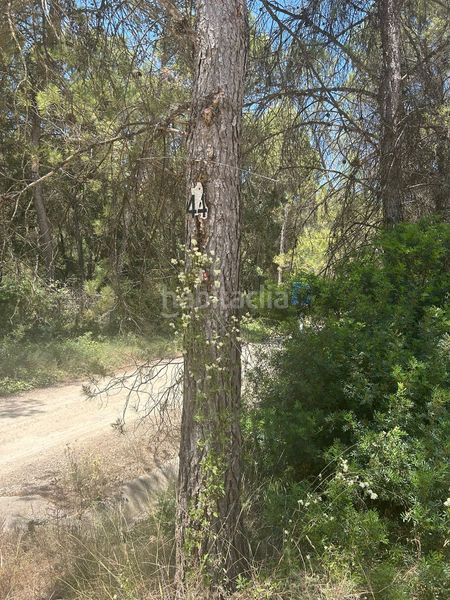 Foto db9aa1a3-b4a8-45c0-ba7f-9db0fe604f15. Landgut in carrer dels pirineus 2 in Rajadell