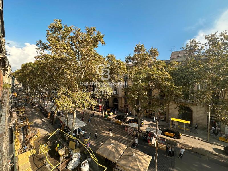 Foto 0c9ecd59-8e6f-4f68-83d1-f578f889c700. Rent flat in Raval Barcelona