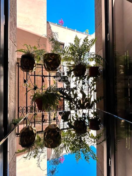 Foto 66fc7320-c037-4e01-b88b-6f0d97b8870a. Location appartement dans St. Pere - Sta. Caterina - El Born Barcelona