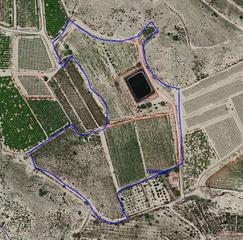 Local commercial à Monforte del Cid. Finca rustica de 49500 m2 con nave y balsa