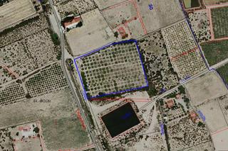 Finca rústica a Crevillente. Se vende parcela  de 12.272 metros cuadrados muy cerca de estaci