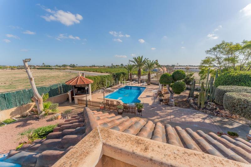 Foto 3f8a9f67-a7b6-4732-8504-2e07d2757d0e. Chalet mit pool in Nou Altabix Elche / Elx