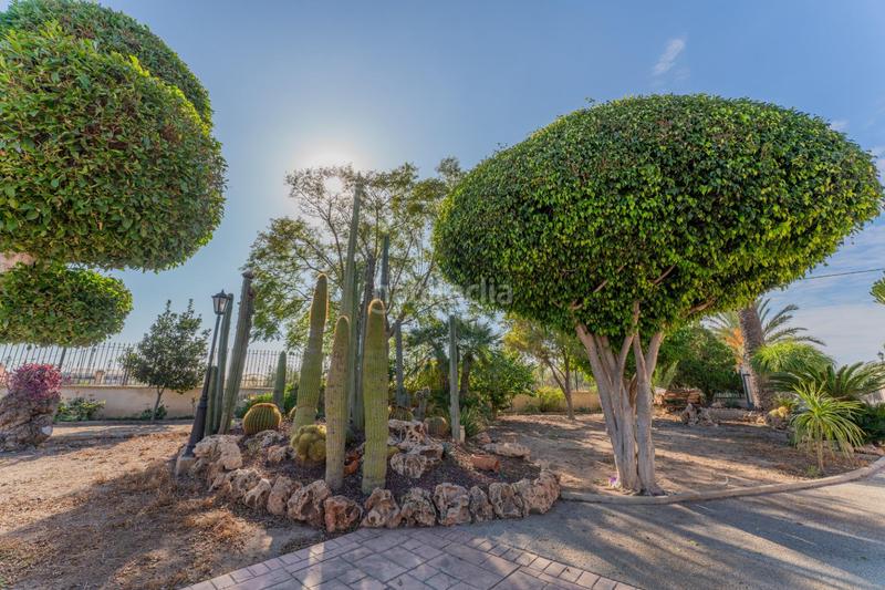 Foto 49a30241-5b8a-4095-9bb1-b1b0c2304811. Chalet mit pool in Nou Altabix Elche / Elx