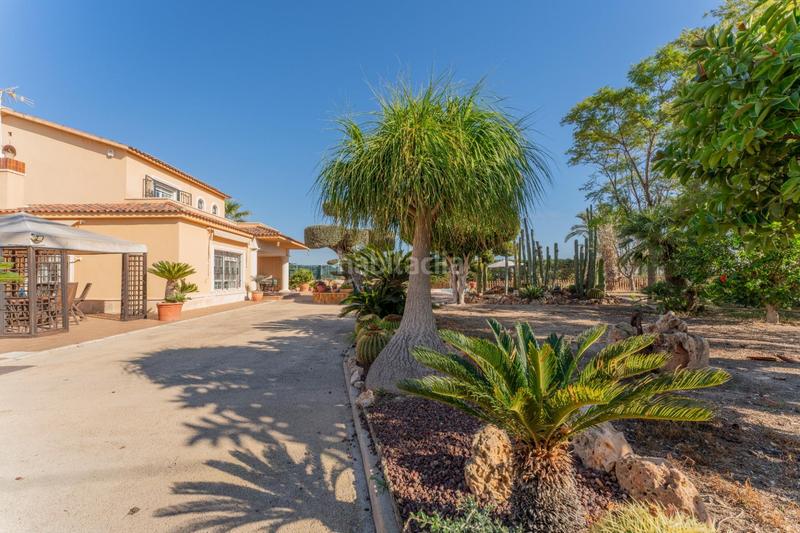 Foto cc764b5a-ee80-41fe-8d01-1b2927375947. Chalet mit pool in Nou Altabix Elche / Elx