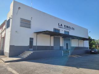Nau industrial a El Castillo. Nave de almacenamiento en frío en aspe