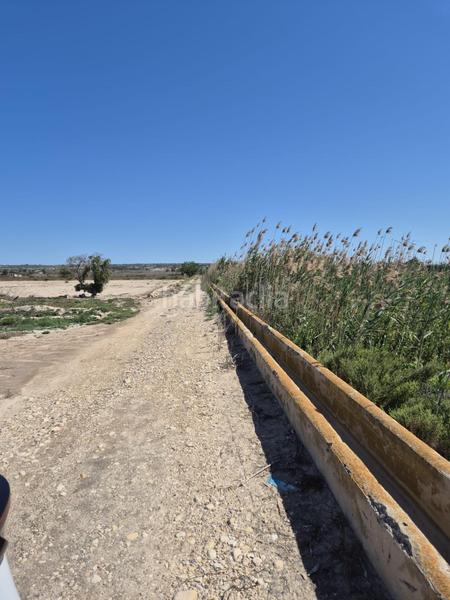 Foto 12b4eabe-2b5d-43ae-934d-6f4c26c1c2e3. Fondo rustico in La Foia - Daimés - Asprella Elche / Elx