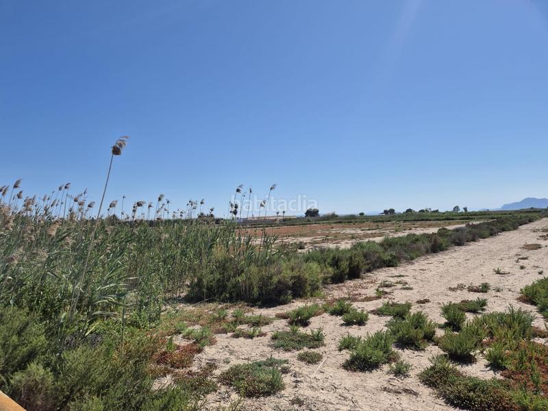 Foto 1cb1356b-a5f1-438f-834d-be3735a6e50b. Fondo rustico in La Foia - Daimés - Asprella Elche / Elx