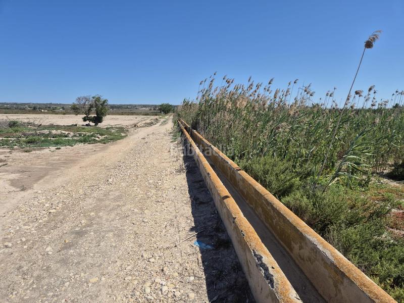 Foto 3702a6fa-11eb-4641-98dd-18a7c142a351. Fondo rustico in La Foia - Daimés - Asprella Elche / Elx