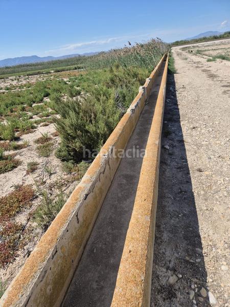 Foto 38919c64-7487-44f3-8139-7b17dcc53f10. Fondo rustico in La Foia - Daimés - Asprella Elche / Elx