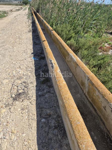 Foto 523c5b0e-6e30-403b-b79f-35563e491167. Fondo rustico in La Foia - Daimés - Asprella Elche / Elx