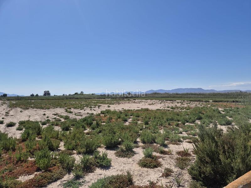 Foto 58b560e2-686b-4813-b42a-21f6a06a3e5f. Fondo rustico in La Foia - Daimés - Asprella Elche / Elx