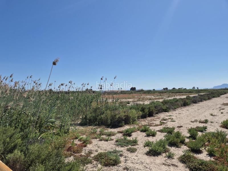 Foto 5a731615-acbd-40dd-bc2d-b765a63824bc. Fondo rustico in La Foia - Daimés - Asprella Elche / Elx