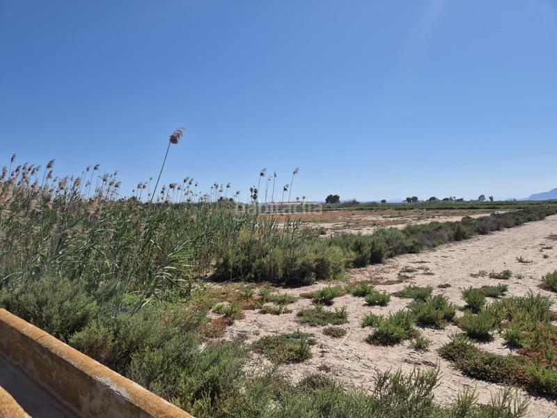 Foto 7de36a35-6afc-41ab-b0af-08793eb30f44. Fondo rustico in La Foia - Daimés - Asprella Elche / Elx