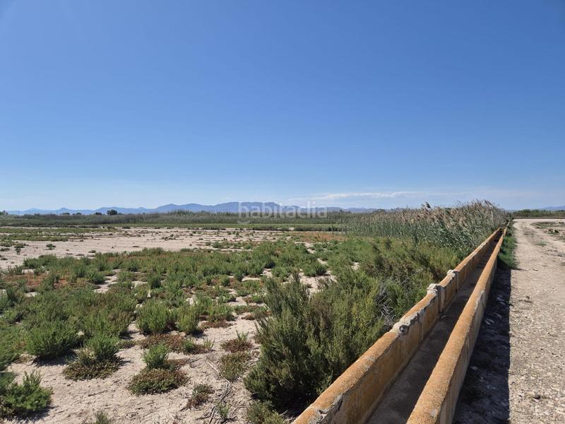 Foto 8abd3c8b-28a0-44af-8dc4-f981cea08df3. Fondo rustico in La Foia - Daimés - Asprella Elche / Elx