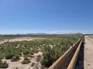 Rural plot in La Foia - Daimés - Asprella. Parcela rústica de 35.000 m2 con excelente acceso y tierra de cu