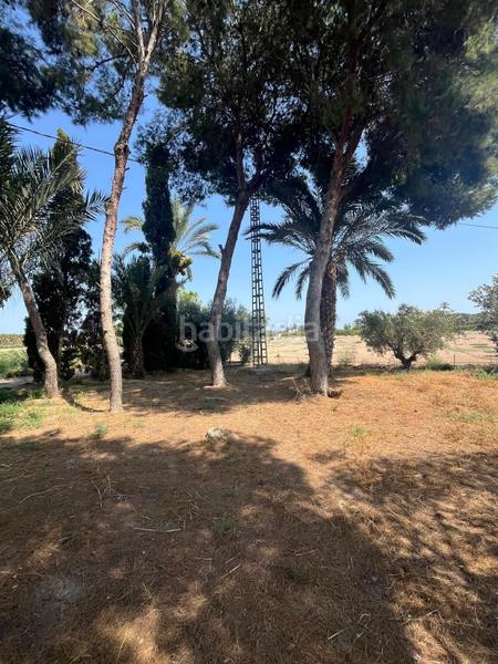 Foto 0351f690-f812-4cf3-87dd-5e6b36ee4952. Rural plot in La Algoda - Matola - Llano de San José Elche / Elx