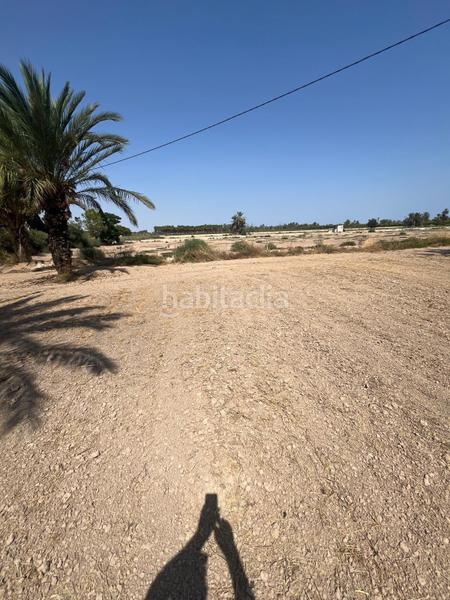 Foto 606a77d1-0b6d-467d-af2c-479a694a0015. Rural plot in La Algoda - Matola - Llano de San José Elche / Elx
