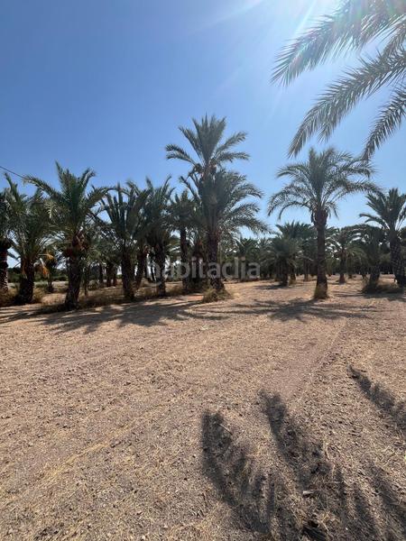 Foto 7e078757-b69a-45de-9994-3fd9c97a4a7f. Rural plot in La Algoda - Matola - Llano de San José Elche / Elx