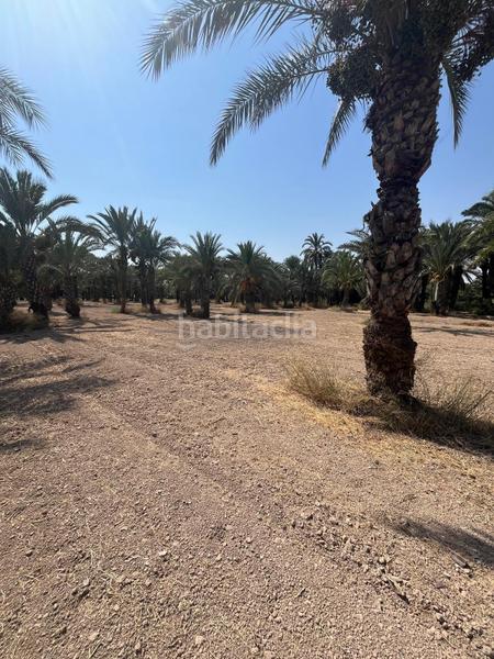 Foto 8878ac09-4222-49f9-9336-81650e8f0606. Rural plot in La Algoda - Matola - Llano de San José Elche / Elx