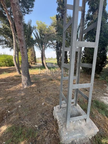 Foto 99a61a4e-b519-4d79-b629-c64d5a2e3c05. Rural plot in La Algoda - Matola - Llano de San José Elche / Elx