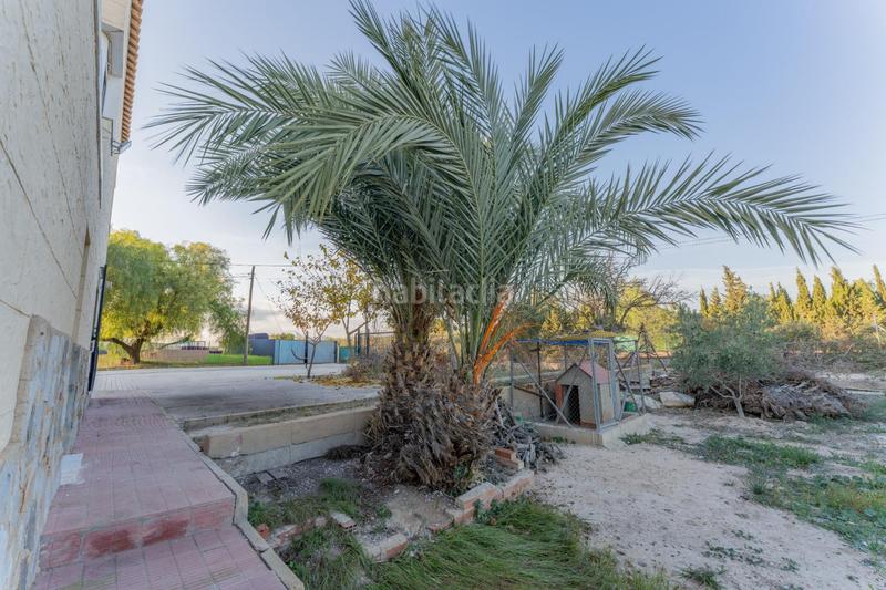 Foto 7458dba6-7146-478c-b9cf-55aa01b29c21. Chalet oportunidad única! chalet en zona privilegiada de elche, a solo 5 minutos del núcleo urbano. en Elche / Elx