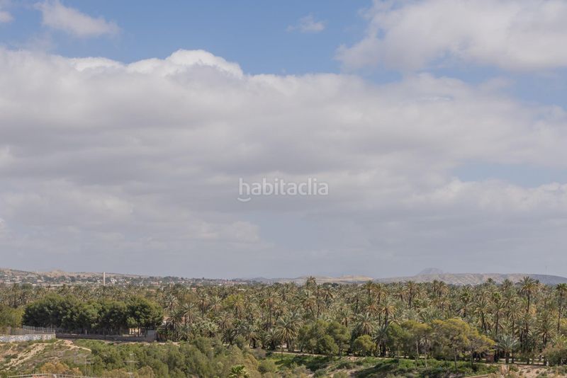 Foto 9d598b60-2410-46da-9f06-918d376b911c. Pis amb aparcament a Camí dels Magros - Casablanca Elche / Elx