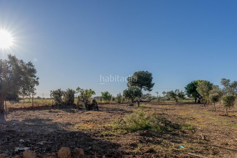 Foto 4ef74cc5-e8e0-4448-86f0-0fcec35858d1. Xalet amb aparcament a Torrellano Elche / Elx