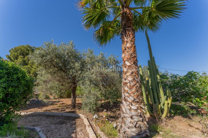 Foto 35a8660b-26a3-4200-80c8-5441a9e5754e. Xalet amb aparcament piscina a El Altet Elche / Elx