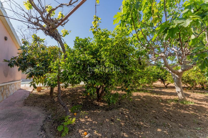 Foto 8baa3a8a-a8d6-4868-a295-bf955fa63c0a. Xalet amb aparcament piscina a El Altet Elche / Elx