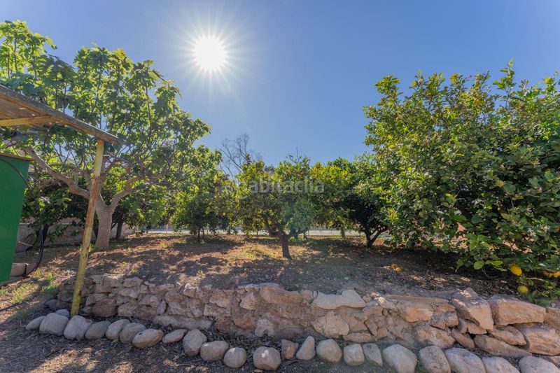 Foto 8fccc141-ef02-4c8c-b266-7d0002e9ef66. Xalet amb aparcament piscina a El Altet Elche / Elx