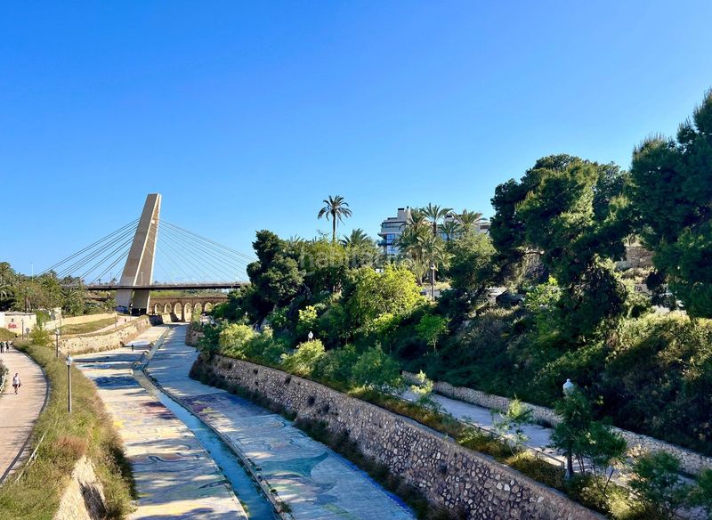 Foto d843e551-73c8-4afe-91ce-c3f84a5a5e8a. Pis a El Raval - Portes Encarnades Elche / Elx