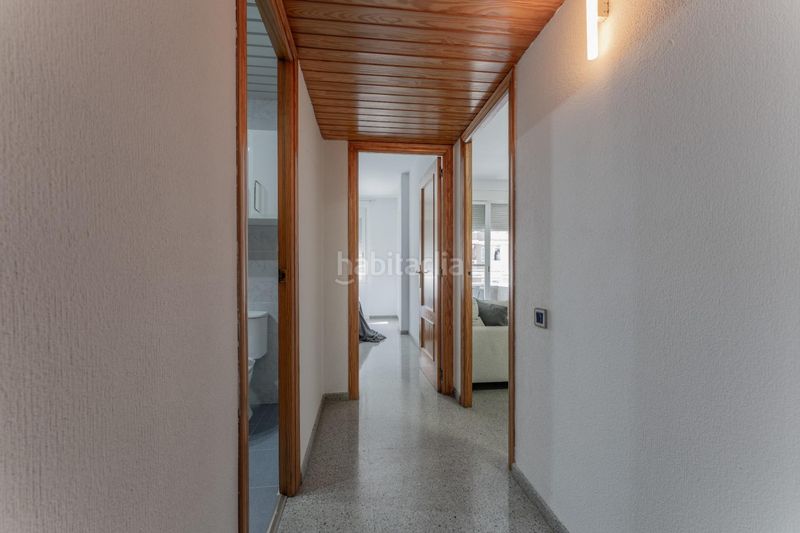 Foto 25c1fddd-61c4-4811-bd52-babe4c33ec55. Pis a Plaza Crevillente - Antiguos Juzgados - El Asilo Elche / Elx