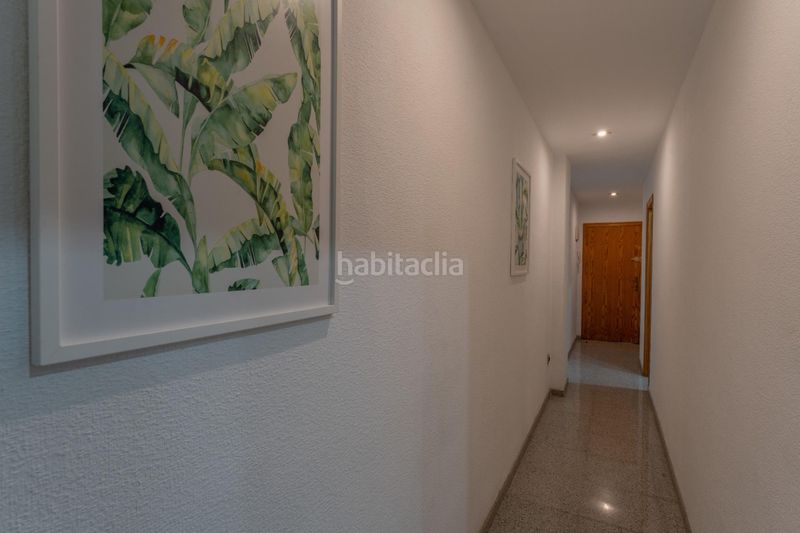 Foto 3eecae54-9c28-4914-bc04-0317ebf94260. Pis a Plaza Crevillente - Antiguos Juzgados - El Asilo Elche / Elx