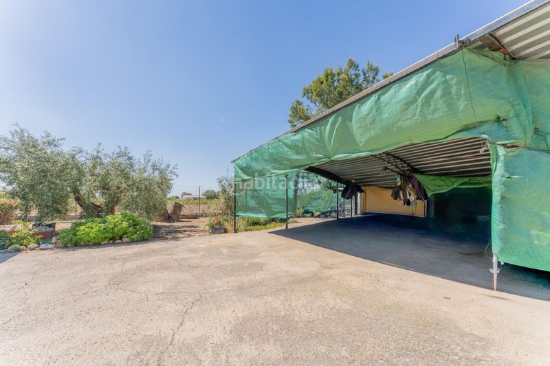 Foto be2e53a3-a552-4d27-a70e-430d6e30be32. Xalet amb aparcament piscina a La Algoda - Matola - Llano de San José Elche / Elx
