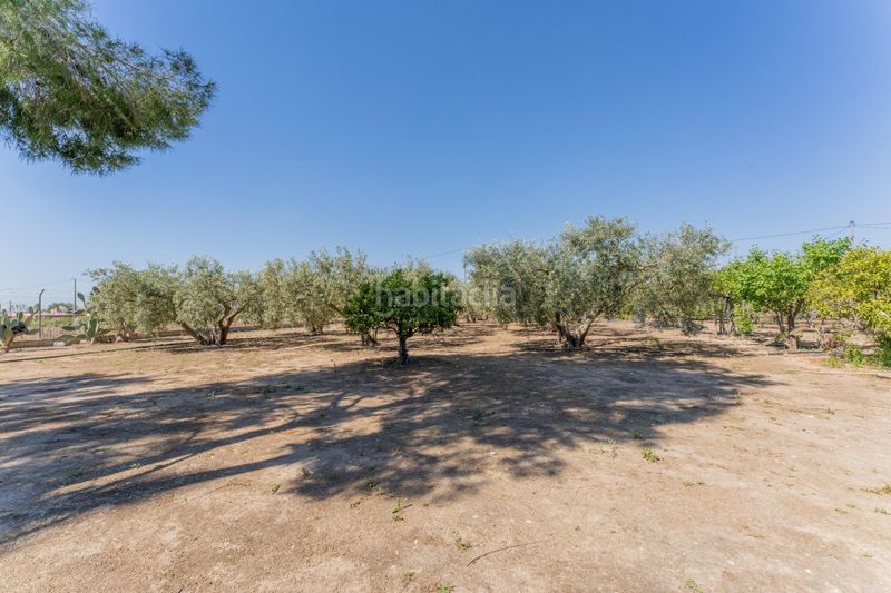 Foto be834930-1dd4-47e3-ad78-4ab16fa28b1e. Xalet amb aparcament piscina a La Algoda - Matola - Llano de San José Elche / Elx