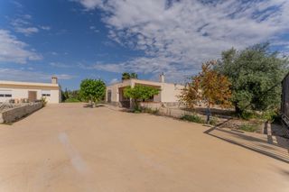 Xalet a Crevillente. Oasis de tranquilidad a 7 minutos de elche! gran parcela y poten