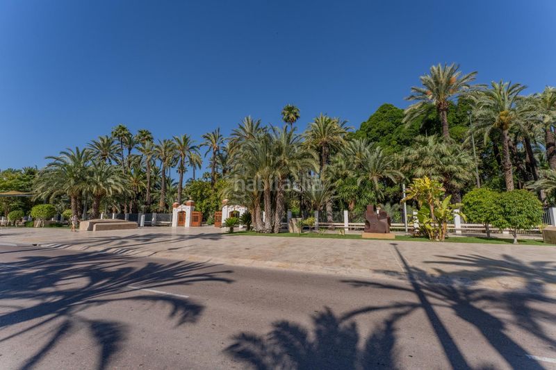 Foto 44ab05e4-da66-441b-9912-31cdf379f59c. Pis a Centro Elche / Elx
